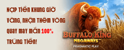Hoàn Trả VIP Hàng Ngày Không Giới Hạn promotion banner